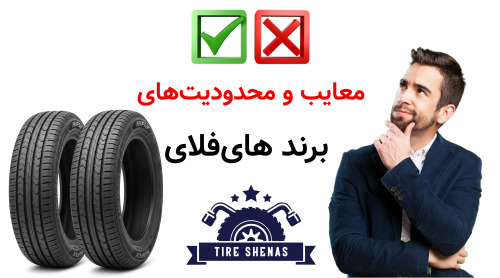 معایب و محدودیت‌های برند های‌فلای