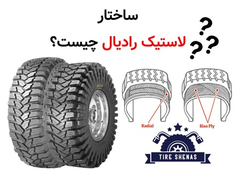 ساختار لاستیک رادیال چیست؟