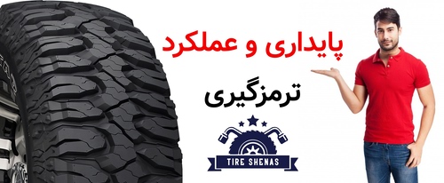 پایداری و عملکرد ترمزگیری